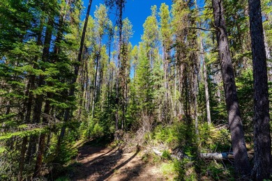 Nestled in the heart of Montana's unspoiled wilderness, this - photo 28