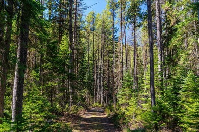 Nestled in the heart of Montana's unspoiled wilderness, this - photo 29