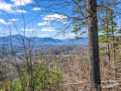 Lake Acreage For Sale in Lake Lure, North Carolina