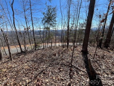 HUGE PRICE IMPROVEMENT!! CHECK OUT THIS BEAUTIFUL, OVER 4.5 ACRE - photo 3