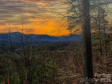 HUGE PRICE IMPROVEMENT!! CHECK OUT THIS BEAUTIFUL, OVER 4.5 ACRE - photo 4