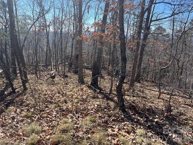HUGE PRICE IMPROVEMENT!! CHECK OUT THIS BEAUTIFUL, OVER 4.5 ACRE - photo 5
