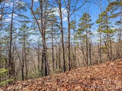 HUGE PRICE IMPROVEMENT!! CHECK OUT THIS BEAUTIFUL, OVER 4.5 ACRE - photo 7