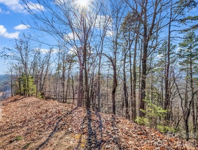 HUGE PRICE IMPROVEMENT!! CHECK OUT THIS BEAUTIFUL, OVER 4.5 ACRE - photo 8