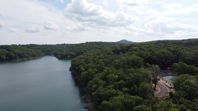 Welcome to The Cove, a brand new gated lakefront community on - photo 9