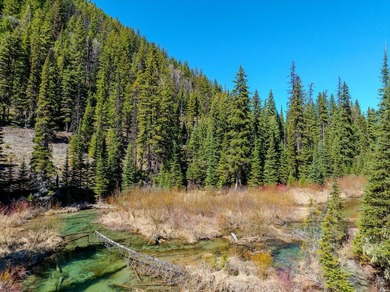 Nestled in the heart of Montana's unspoiled wilderness, this - photo 39