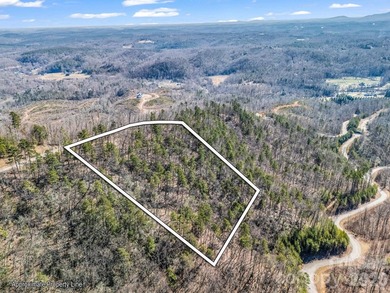 HUGE PRICE IMPROVEMENT!! CHECK OUT THIS BEAUTIFUL, OVER 4.5 ACRE - photo 10