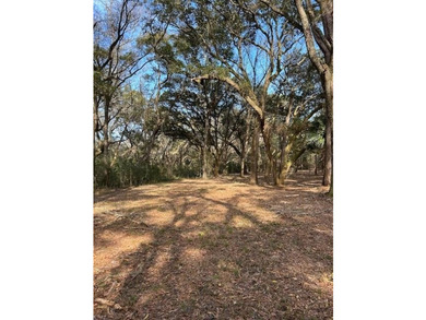 Outstanding Country lot lot with plenty of privacy and over 1 - photo 2