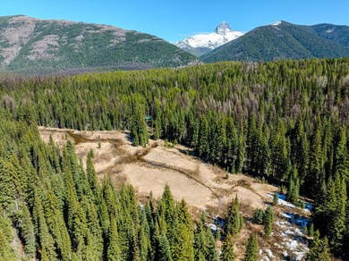Nestled in the heart of Montana's unspoiled wilderness, this - photo 42