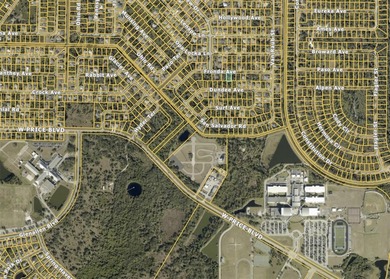 Opportunity to build or invest on this 1/4-acre residential lot - photo 3