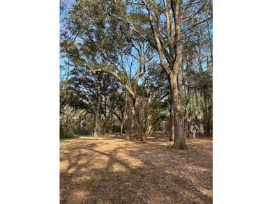 Outstanding Country lot lot with plenty of privacy and over 1 - photo 4
