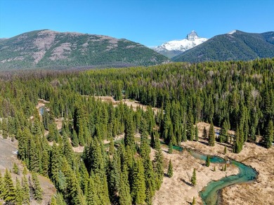 Nestled in the heart of Montana's unspoiled wilderness, this - photo 44