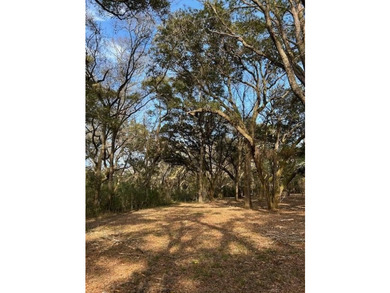 Outstanding Country lot lot with plenty of privacy and over 1 - photo 5