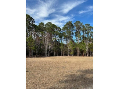 Outstanding Country lot lot with plenty of privacy and over 1 - photo 6