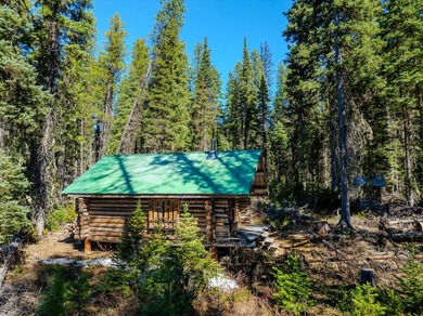 Nestled in the heart of Montana's unspoiled wilderness, this - photo 46