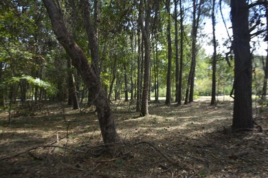 Outstanding Country lot lot with plenty of privacy and over 1 - photo 7