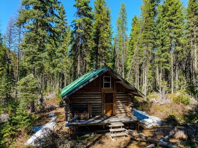 Nestled in the heart of Montana's unspoiled wilderness, this - photo 47