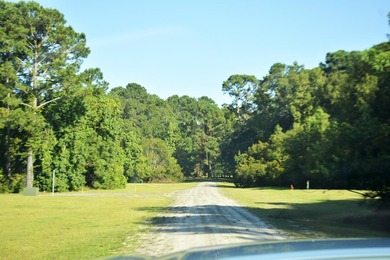 Outstanding Country lot lot with plenty of privacy and over 1 - photo 8