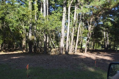 Outstanding Country lot lot with plenty of privacy and over 1 - photo 10