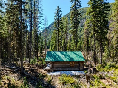 Nestled in the heart of Montana's unspoiled wilderness, this - photo 55