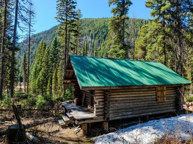 Nestled in the heart of Montana's unspoiled wilderness, this - photo 56