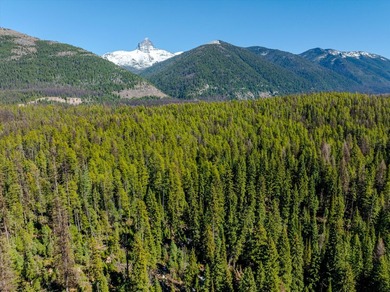 Nestled in the heart of Montana's unspoiled wilderness, this - photo 59