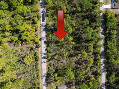 Build your Florida dream home on this prime residential lot - photo 3