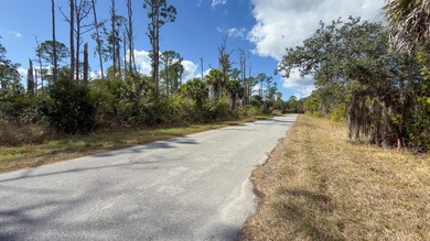 Build your Florida dream home on this prime residential lot - photo 4