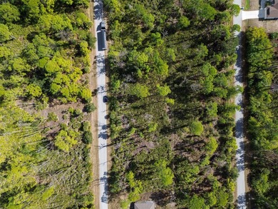 Build your Florida dream home on this prime residential lot - photo 8