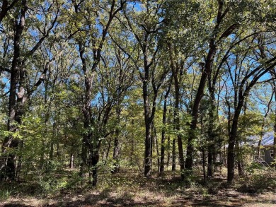 Lake Lot For Sale in Trinidad, Texas