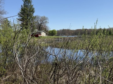 Lake Lot For Sale in Walkerville, Michigan