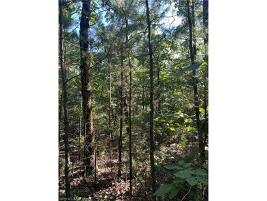 Tract 8 - 5.89 Acres of Secluded Mountain Land | No Restrictions - photo 11