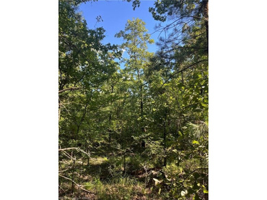 Tract 8 - 5.89 Acres of Secluded Mountain Land | No Restrictions - photo 12