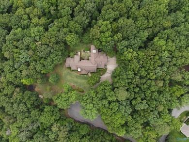Custom luxury home in Cherokee Ridge's gated golf community - photo 7