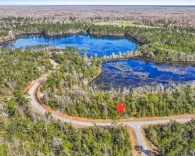 Lake Lot For Sale in Wewahitchka, Florida