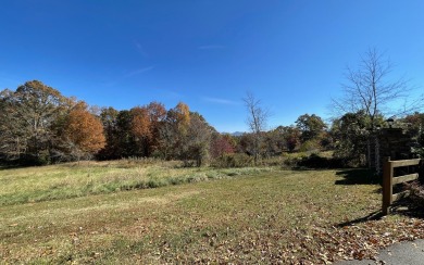 VACANT LOT IN GATED LAKEFRONT COMMUNITY WITH CLUBHOUSE & POOL - Lake Lot For Sale in Blairsville, Georgia