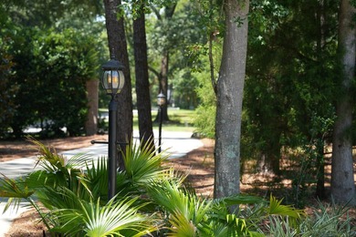Beyond the gates of Stono Ferry, where manicured fairways - photo 8