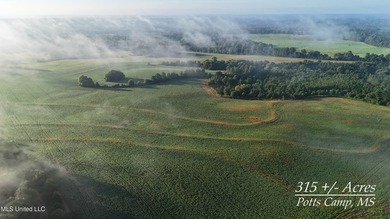 (private lake, pond, creek) Acreage For Sale in Potts Camp Mississippi