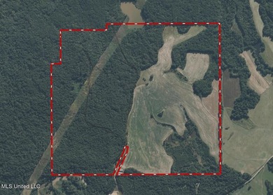 315+/-Acre Turnkey Farm & Recreational Tract | Potts Camp, MS - photo 2