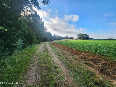 315+/-Acre Turnkey Farm & Recreational Tract | Potts Camp, MS - photo 4
