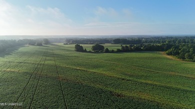 315+/-Acre Turnkey Farm & Recreational Tract | Potts Camp, MS - photo 5