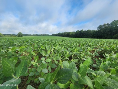 315+/-Acre Turnkey Farm & Recreational Tract | Potts Camp, MS - photo 6