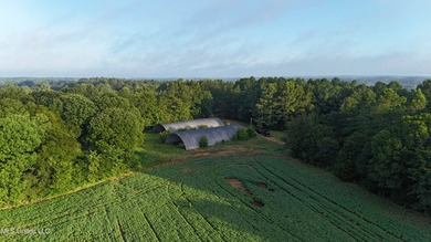 315+/-Acre Turnkey Farm & Recreational Tract | Potts Camp, MS - photo 7