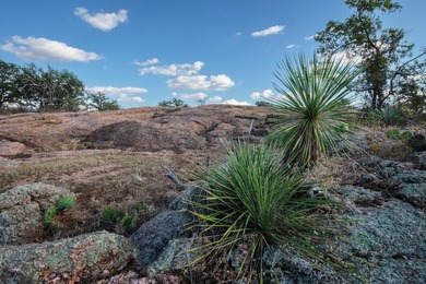 (private lake, pond, creek) Acreage For Sale in Fredonia Texas