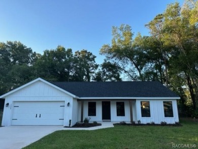 Lake Spivey Home For Sale in Inverness Florida