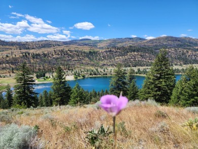 Lake Acreage For Sale in Orobille, Washington