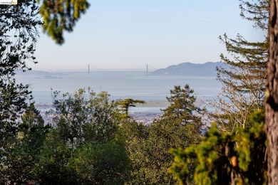Enjoy dramatic sunsets from this special Berkeley Hills home - photo 12