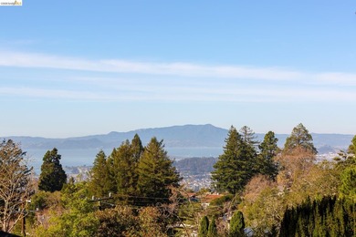 Enjoy dramatic sunsets from this special Berkeley Hills home - photo 18