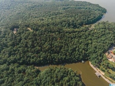 Lake Acreage For Sale in Ohatchee, Alabama