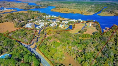 Lake Acreage Sale Pending in Crystal River, Florida